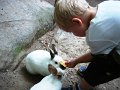 Maj2008 025